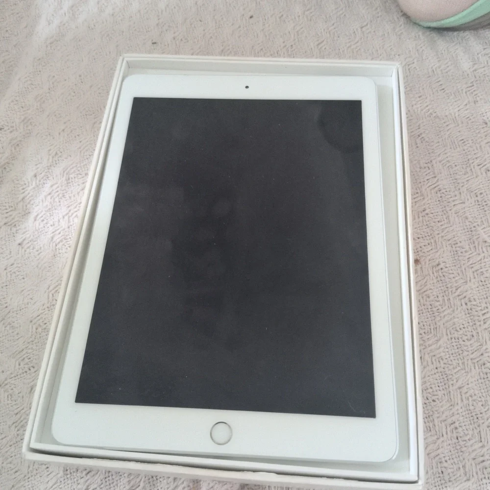 iPad pro 9.7 inches
